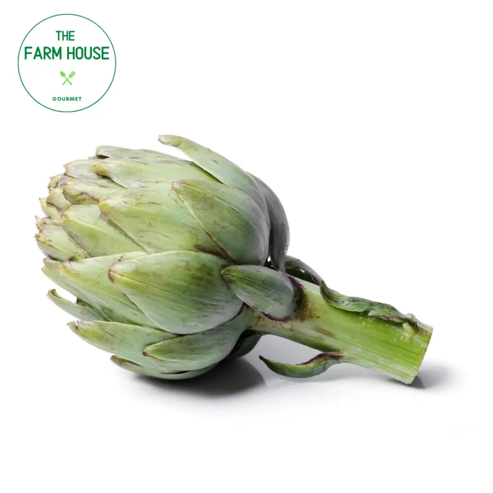 Bông Atiso Úc - Australian Artichoke - THE FARM HOUSE