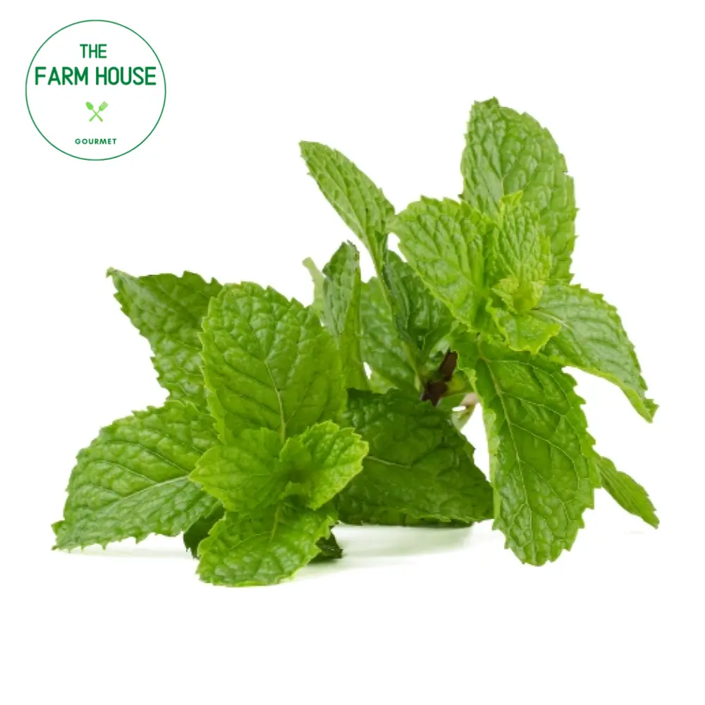 Húng Lủi - Mint Leaves (50g) - THE FARM HOUSE