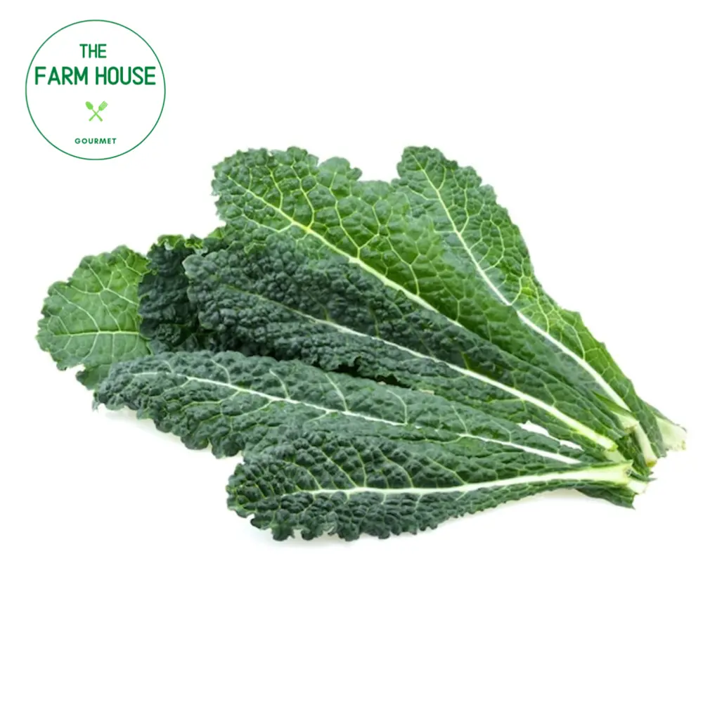 Cải Xoăn Ý - Lacinato Kale - THE FARM HOUSE