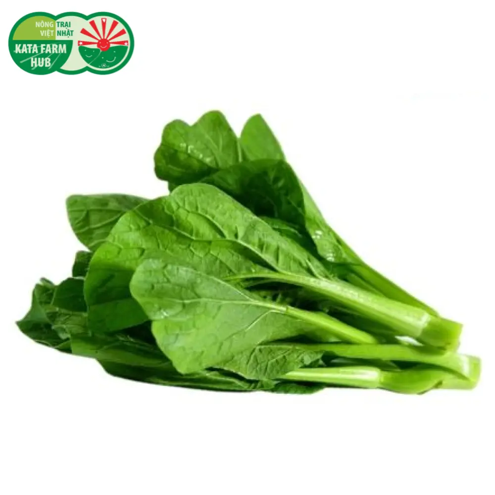 Cải Ngồng Con - Mini Choy Sum (250g) - KATA FARM HUB