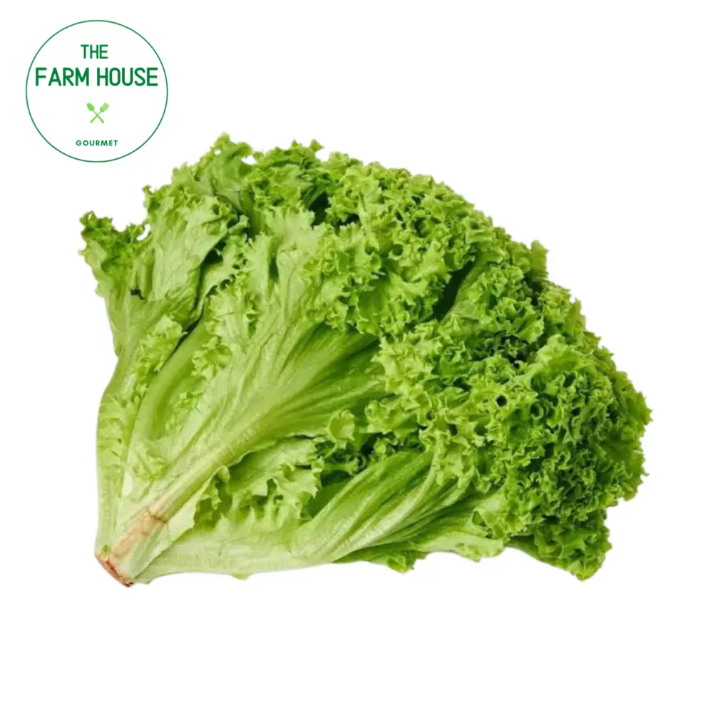 Xà Lách Lo Lo Xanh - Lollo Lettuce - THE FARM HOUSE