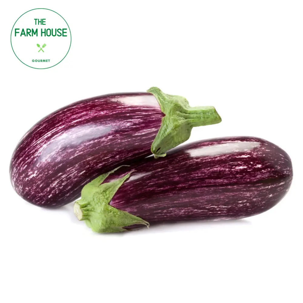 Cà Tím Hà Lan - Holland Eggplant - THE FARM HOUSE