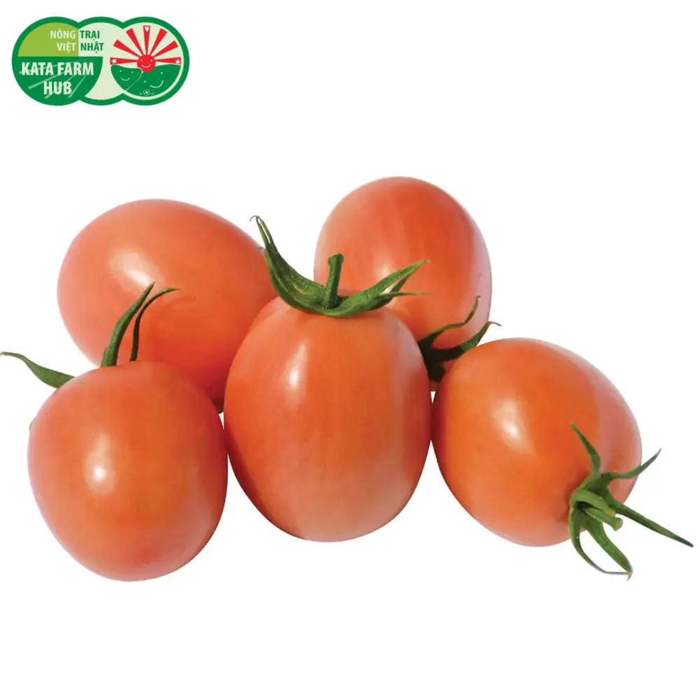 Cà Chua Trứng - Plum Tomato - KATA FARM HUB
