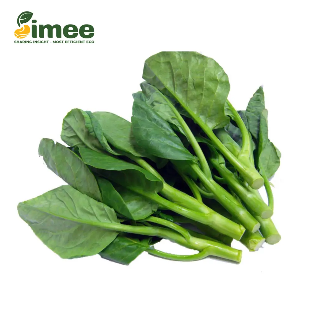 Mồng Tơi VietGAP - Malabar Spinach (250g) - SIMEE