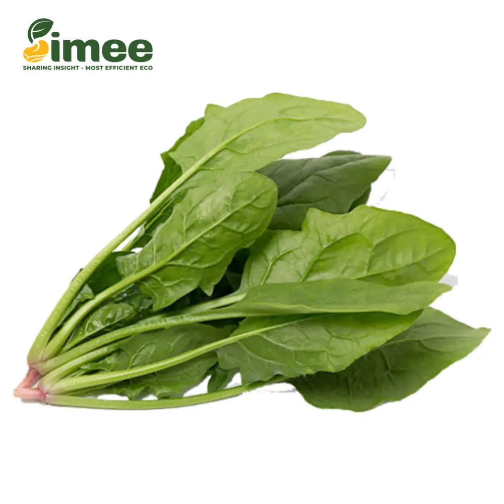 Bó Xôi VietGAP - Spinach (250g) - SIMEE