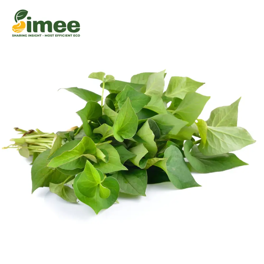 Diếp Cá VietGAP - Fish Mint (50g) - SIMEE