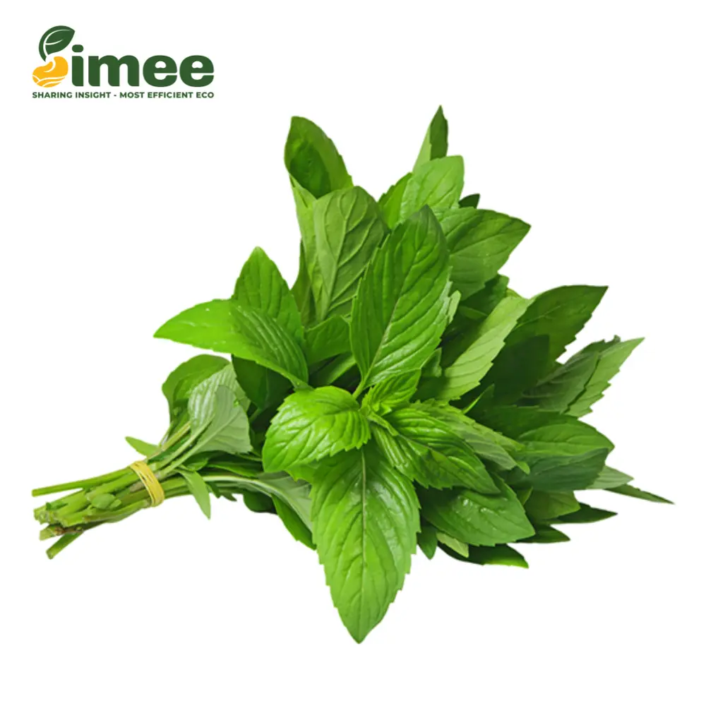Húng Cây VietGAP - Mulukhiyah (50g) - SIMEE