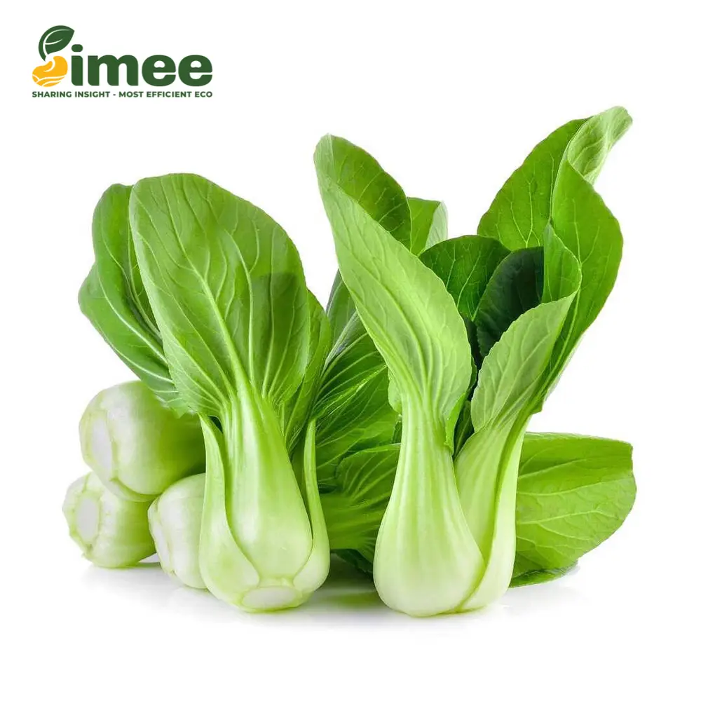 Cải Thìa Hữu Cơ - Organic Bok Choy (250g) - SIMEE