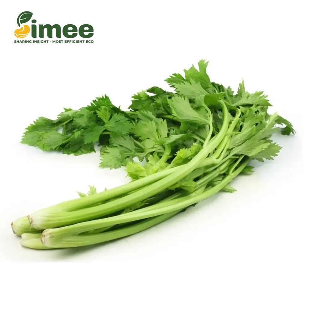 Cần Nước Hữu Cơ - Organic Water Celery (250g) - SIMEE