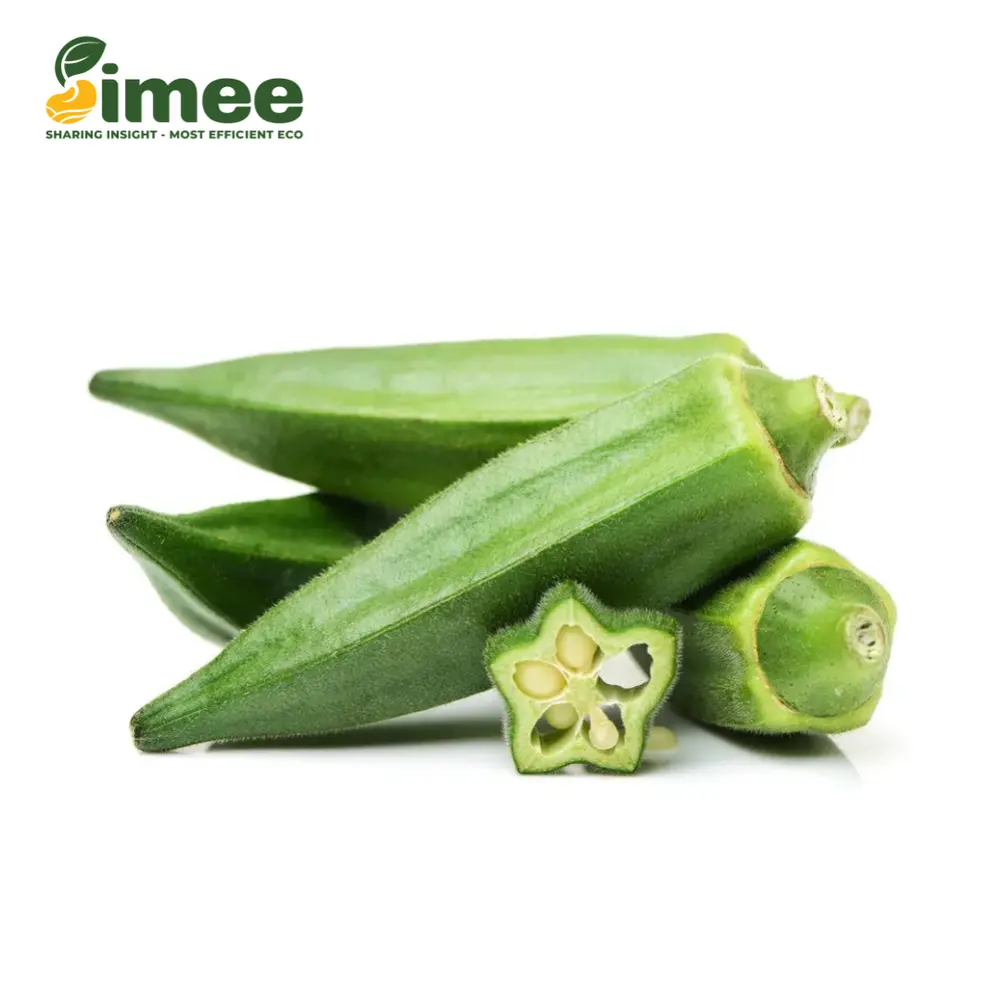 Đậu Bắp VietGAP - Okra - SIMEE