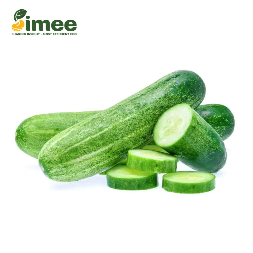 Dưa Leo Ta Hữu Cơ - Organic Cucumber - SIMEE