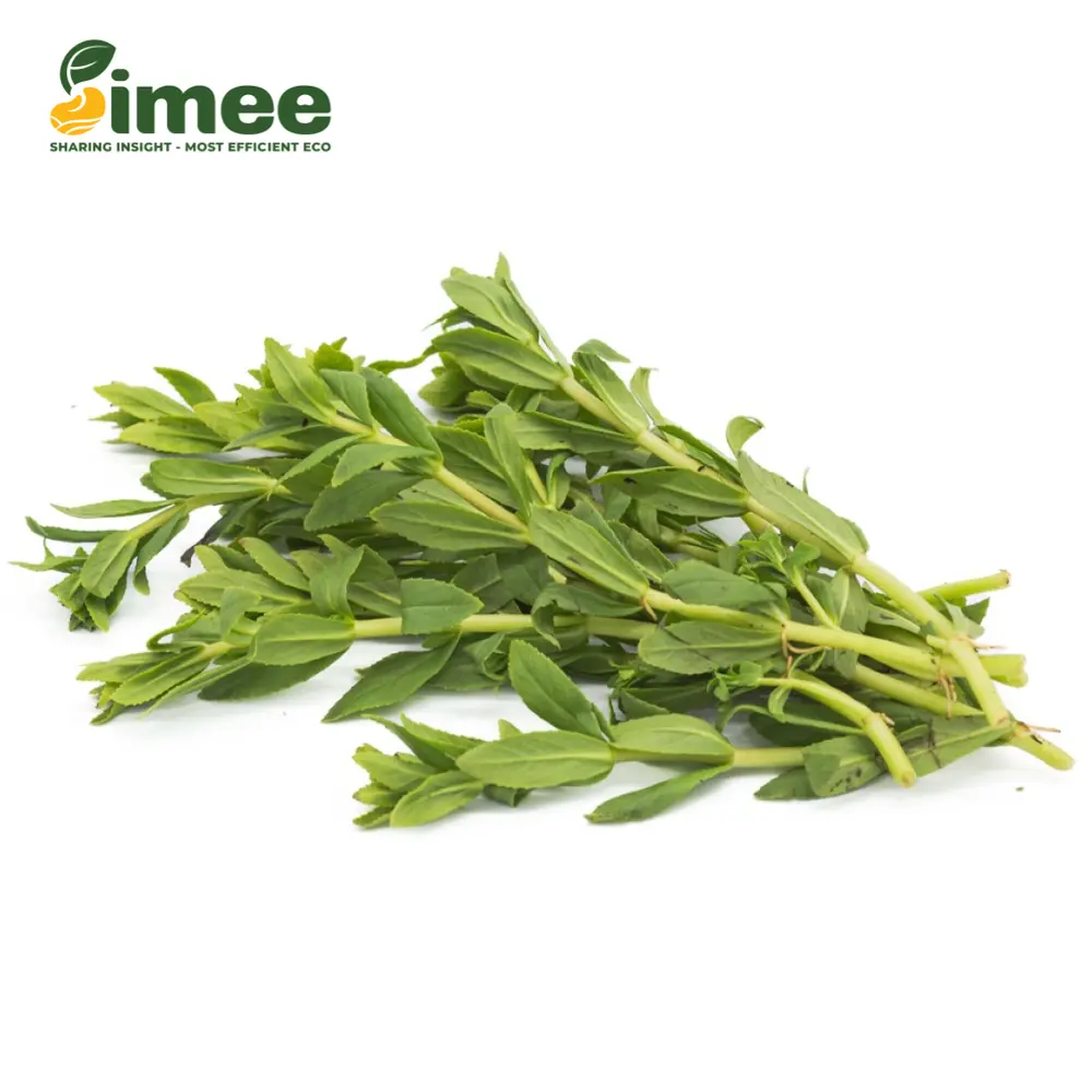 Rau Ngò Om VietGAP - Rice Paddy Herb (50g) - SIMEE