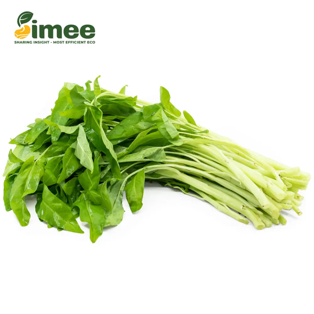 Rau Muống VietGAP - Morning Glory (250g) - SIMEE