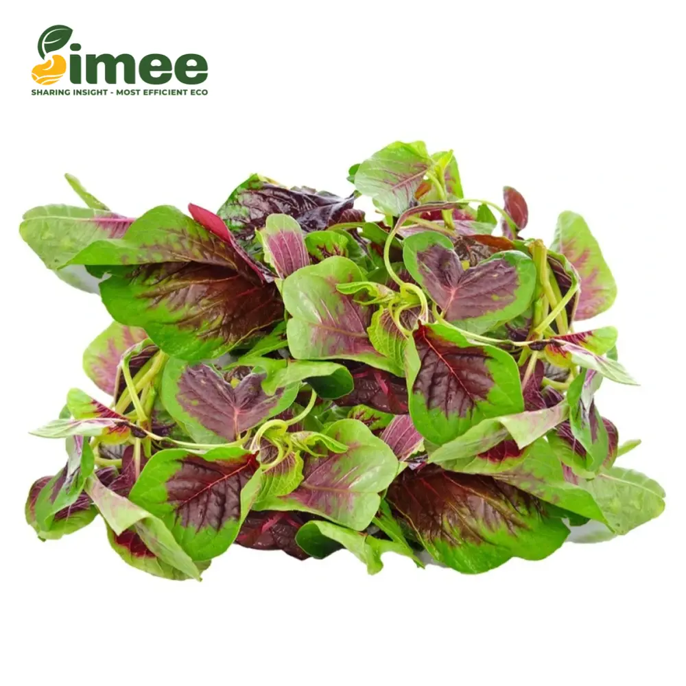 Rau Dền Lam VietGAP - Purple Amaranth (250g) - SIMEE