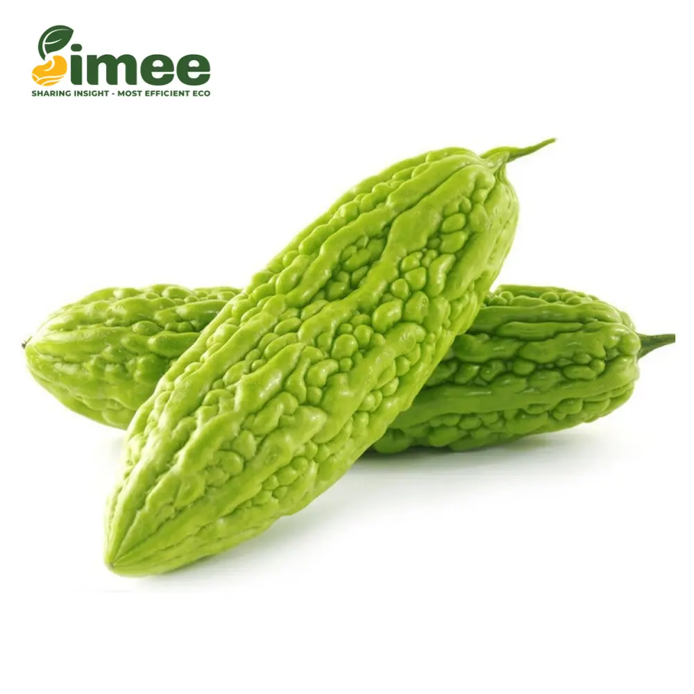 Khổ Qua VietGAP - Bitter Gourd - SIMEE