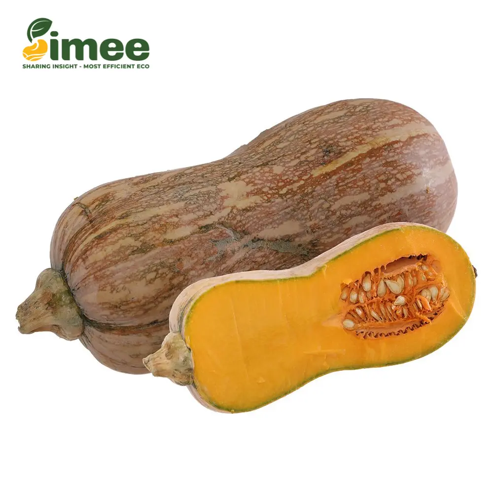 Bí Đỏ Hồ Lô Hữu Cơ - Organic Goianinha Pumpkin - SIMEE