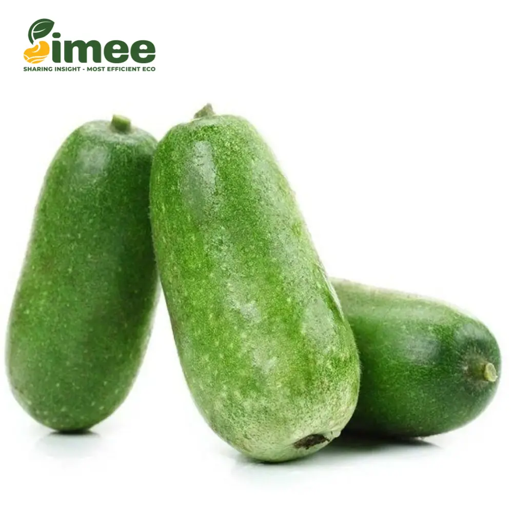 Bí Nhật Xanh Hữu Cơ - Organic Japanese Wax Gourd - SIMEE