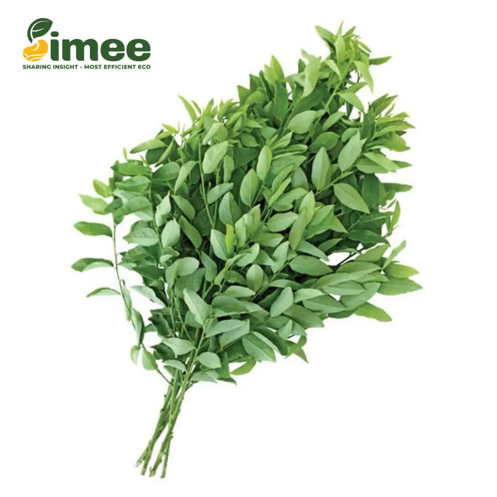Rau Ngót VietGAP - Katuk (250g) - SIMEE