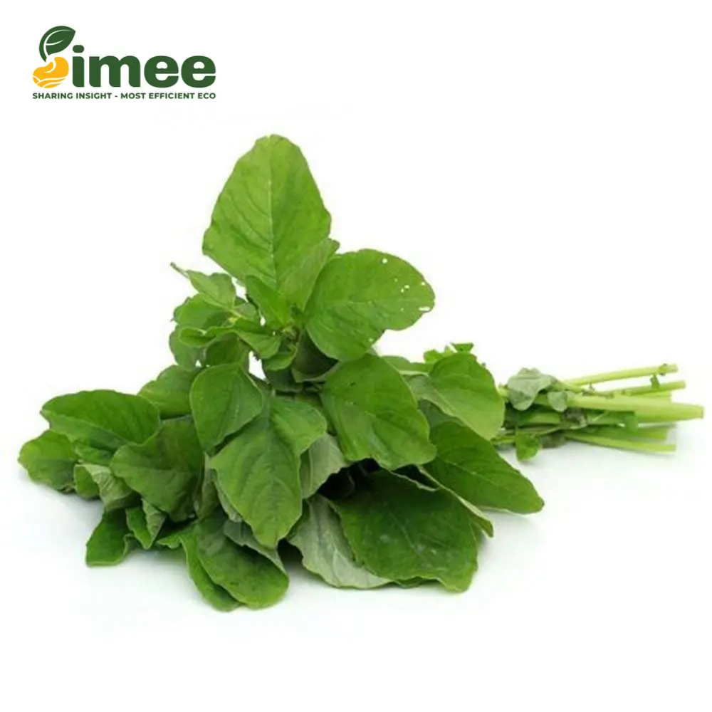 Rau Dền Cơm Hữu Cơ - Organic Green Amaranth (250g) - SIMEE