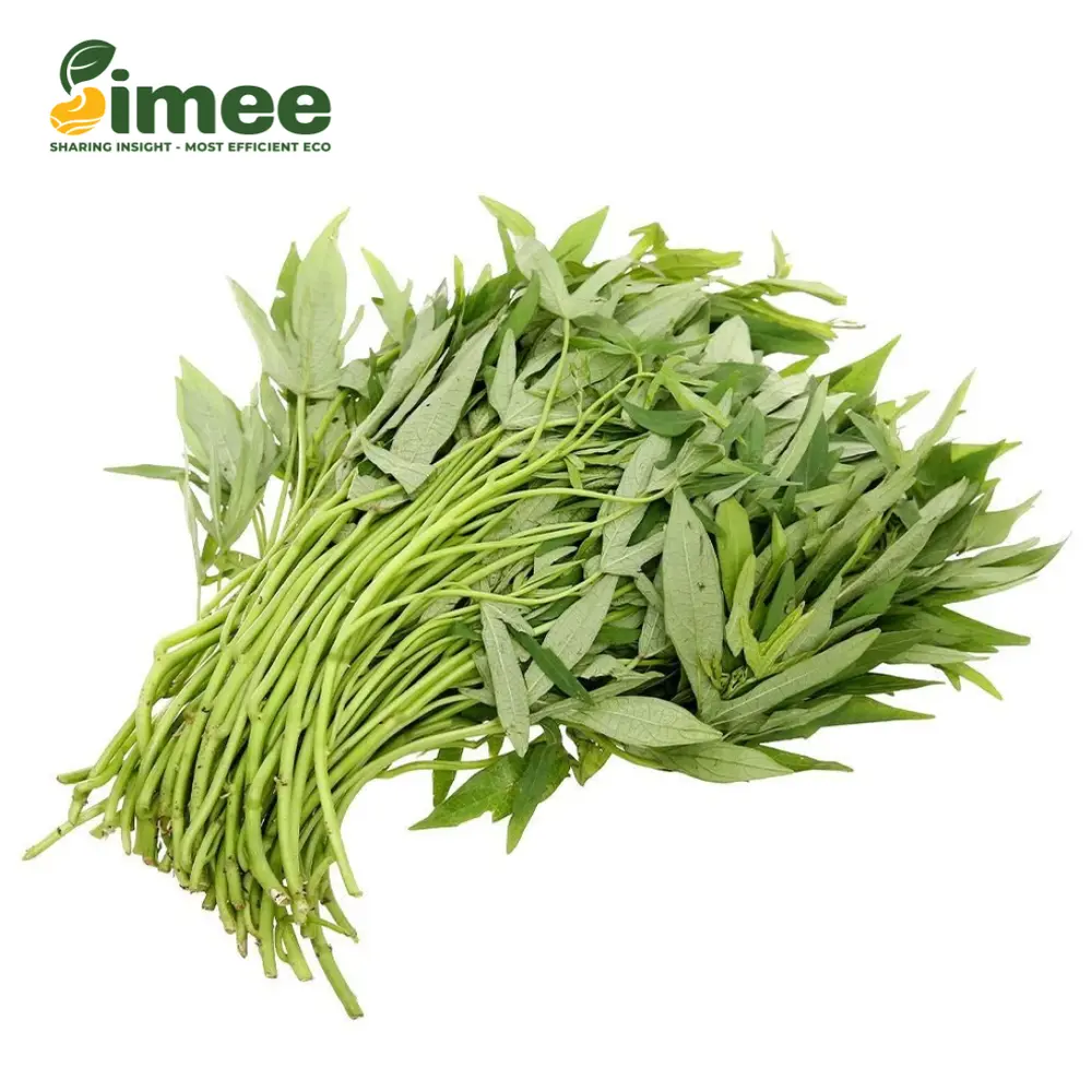 Rau Lang Hữu Cơ - Organic Sweet Potato Leaves (250g) - SIMEE