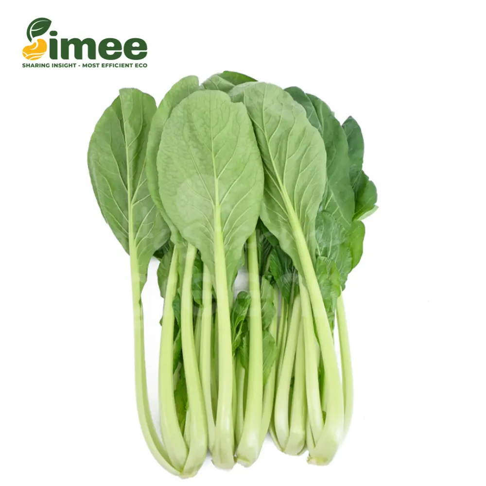 Cải Ngọt Hữu Cơ - Organic Brassica Integrifolia (250g) - SIMEE