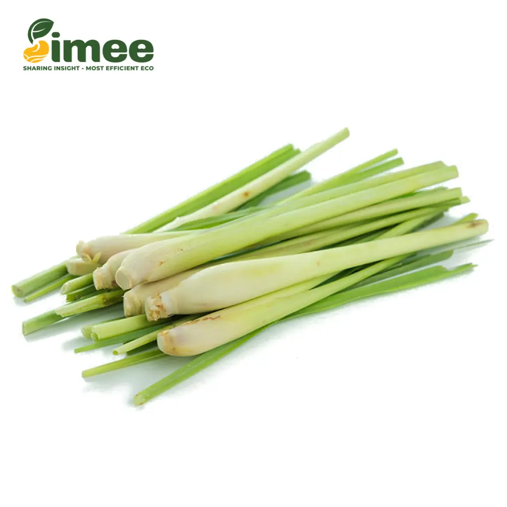 Sả Cây VietGAP - Lemongrass Sticks (200g) - SIMEE