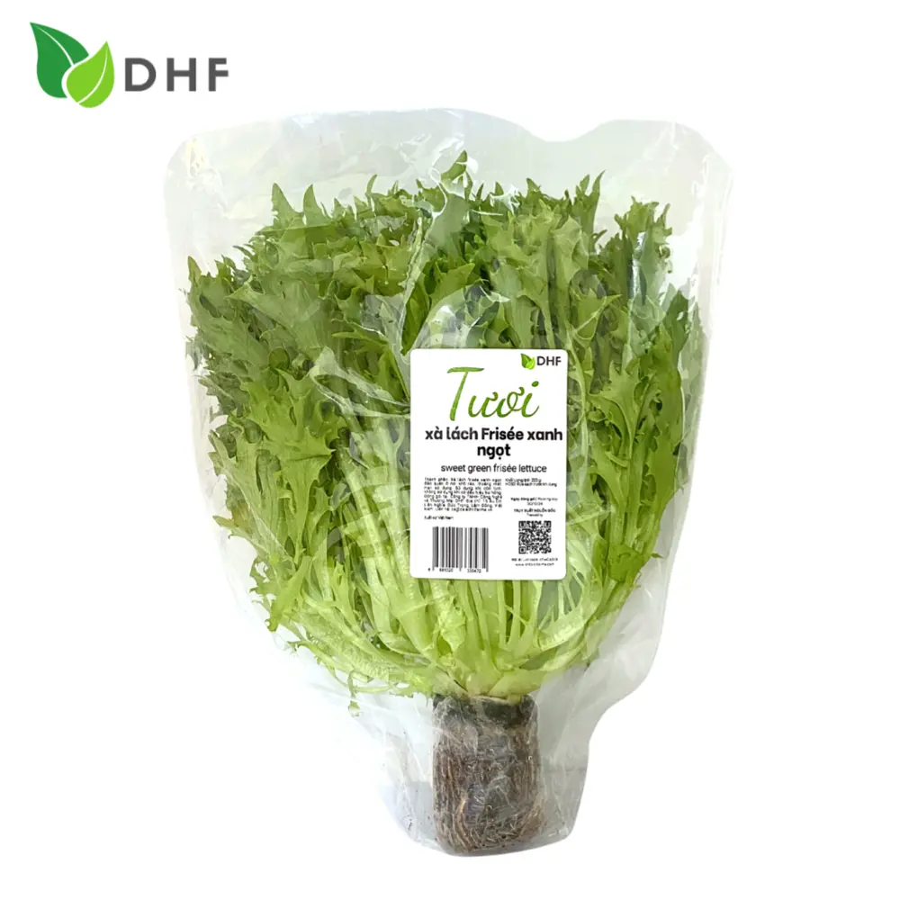 Xà Lách Frisée Xanh Ngọt - Sweet Green Frisée Lettuce (220g) - DHF