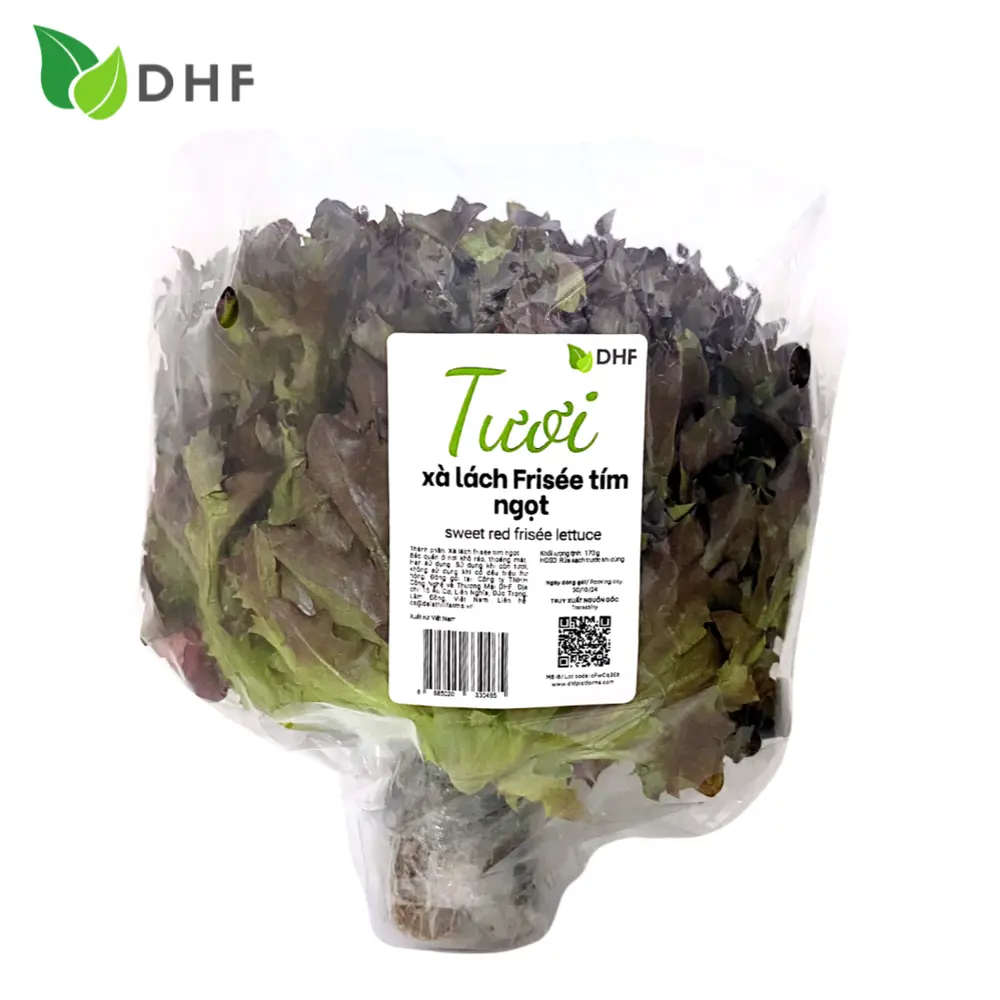 Xà Lách Frisée Tím Ngọt - Sweet Red Frisée Lettuce (170g) - DHF