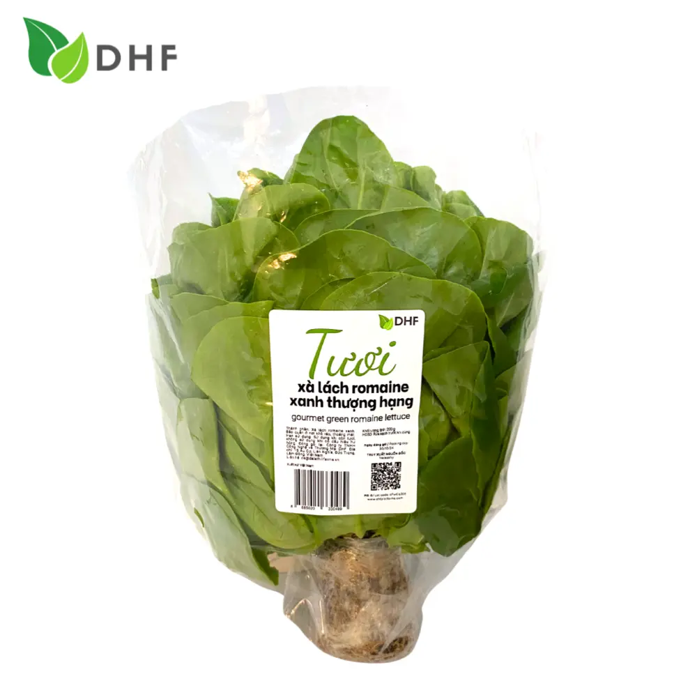 Xà Lách La Mã Xanh Thượng Hạng - Gourmet Green Romaine Lettuce (200g) - DHF
