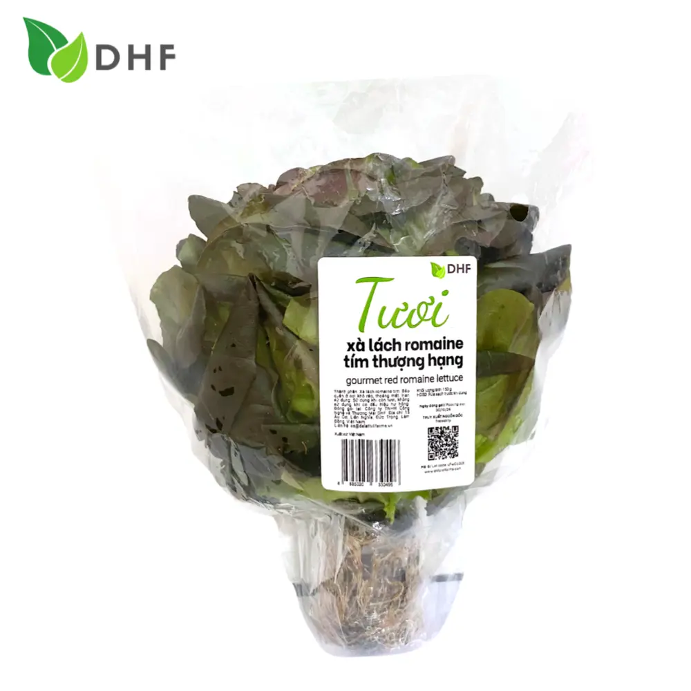 Xà Lách La Mã Tím Thượng Hạng - Gourmet Red Romaine Lettuce (150g) - DHF