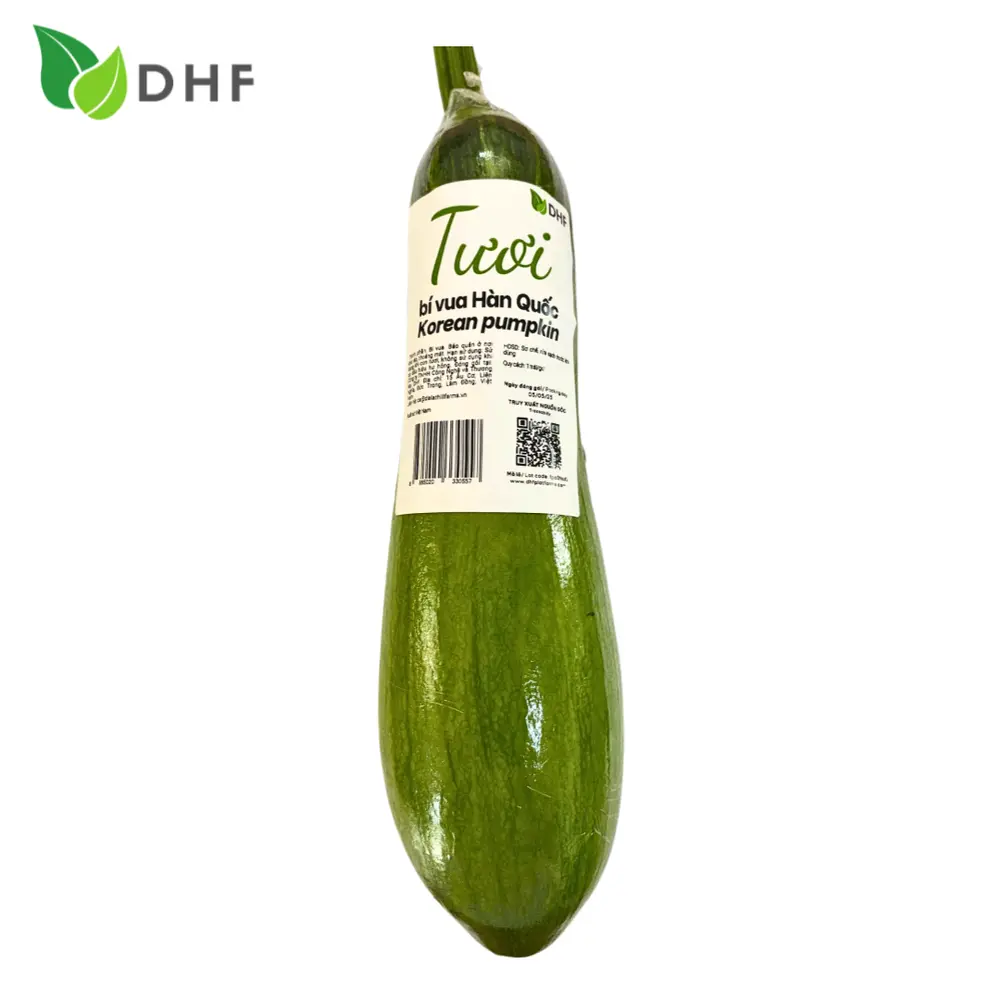 Bí Vua Hàn Quốc - Korean King Zucchini - DHF