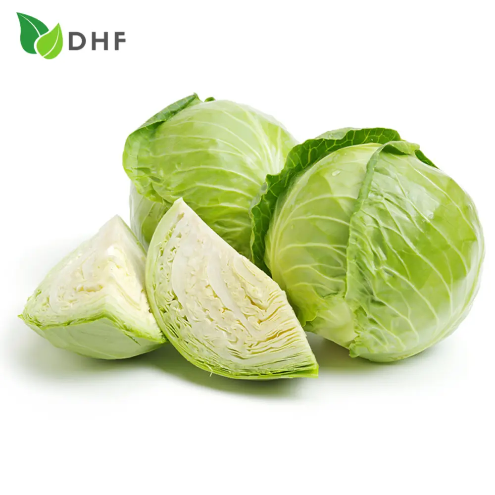Bắp Cải Trắng - White Cabbage - DHF