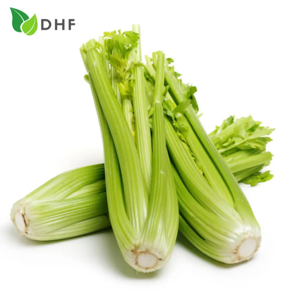 Cần Tây Cọng Loại 1 - Celery Stalks Grade 1 - DHF