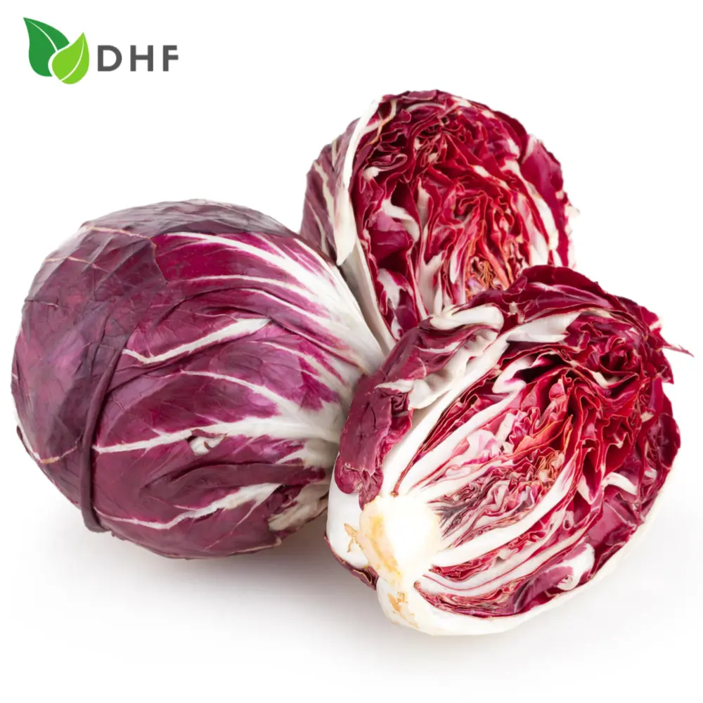 Xà Lách Radicchio - Radicchio Lettuce - DHF
