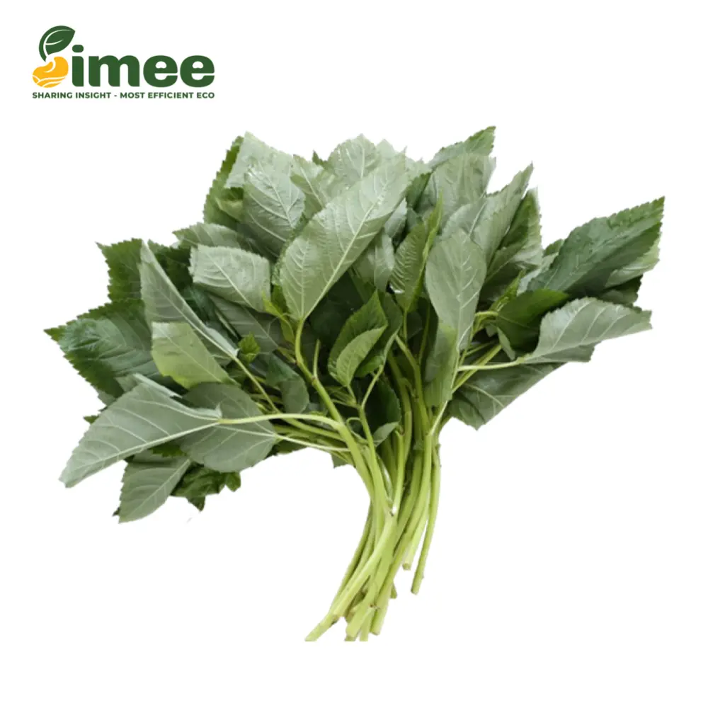 Húng Cây Hữu Cơ - Organic Mulukhiyah (50g) - SIMEE