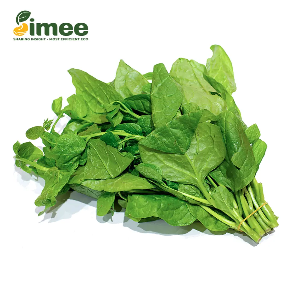 Mồng Tơi Hữu Cơ - Organic Malabar Spinach (250g) - SIMEE