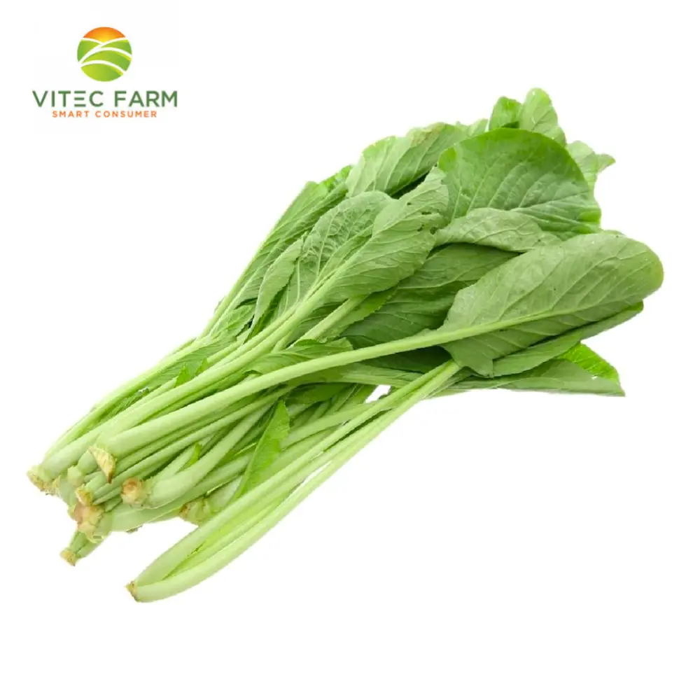 Cải Ngọt Baby GlobalGAP - Baby Brassica Integrifolia (250g) - VITEC FARM