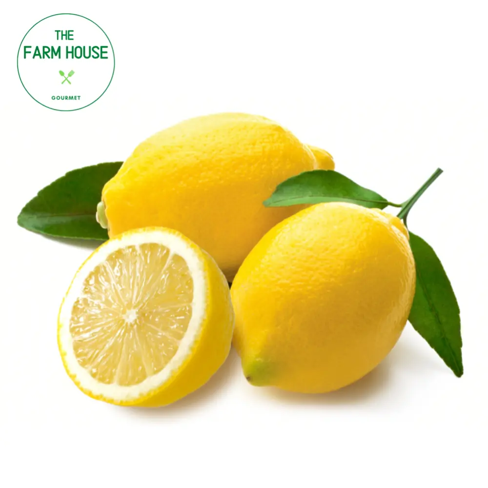 Chanh Vàng Giống Ai Cập - Egyptian Lemon - THE FARM HOUSE