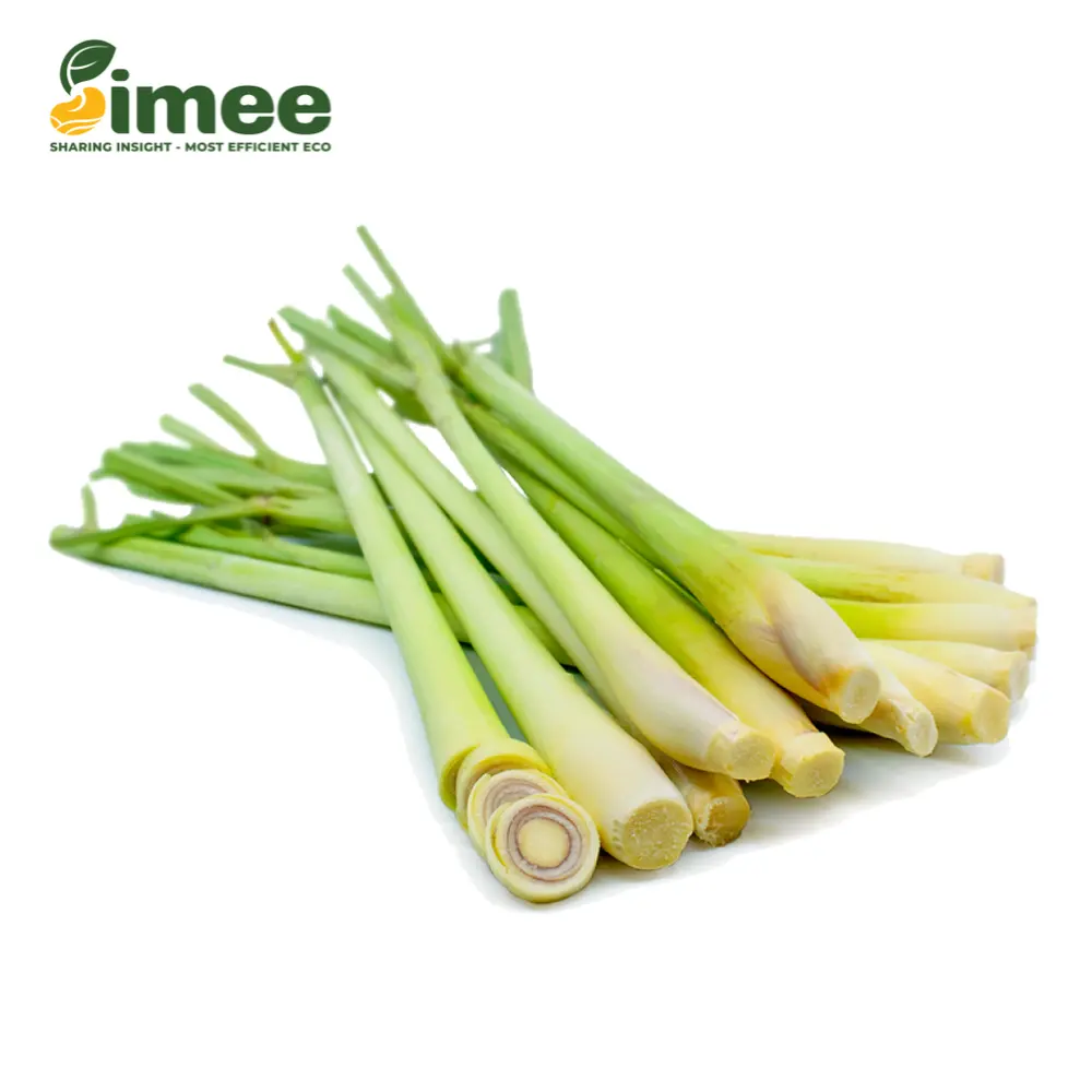 Sả Cây Hữu Cơ - Organic Lemongrass Sticks (200g) - SIMEE