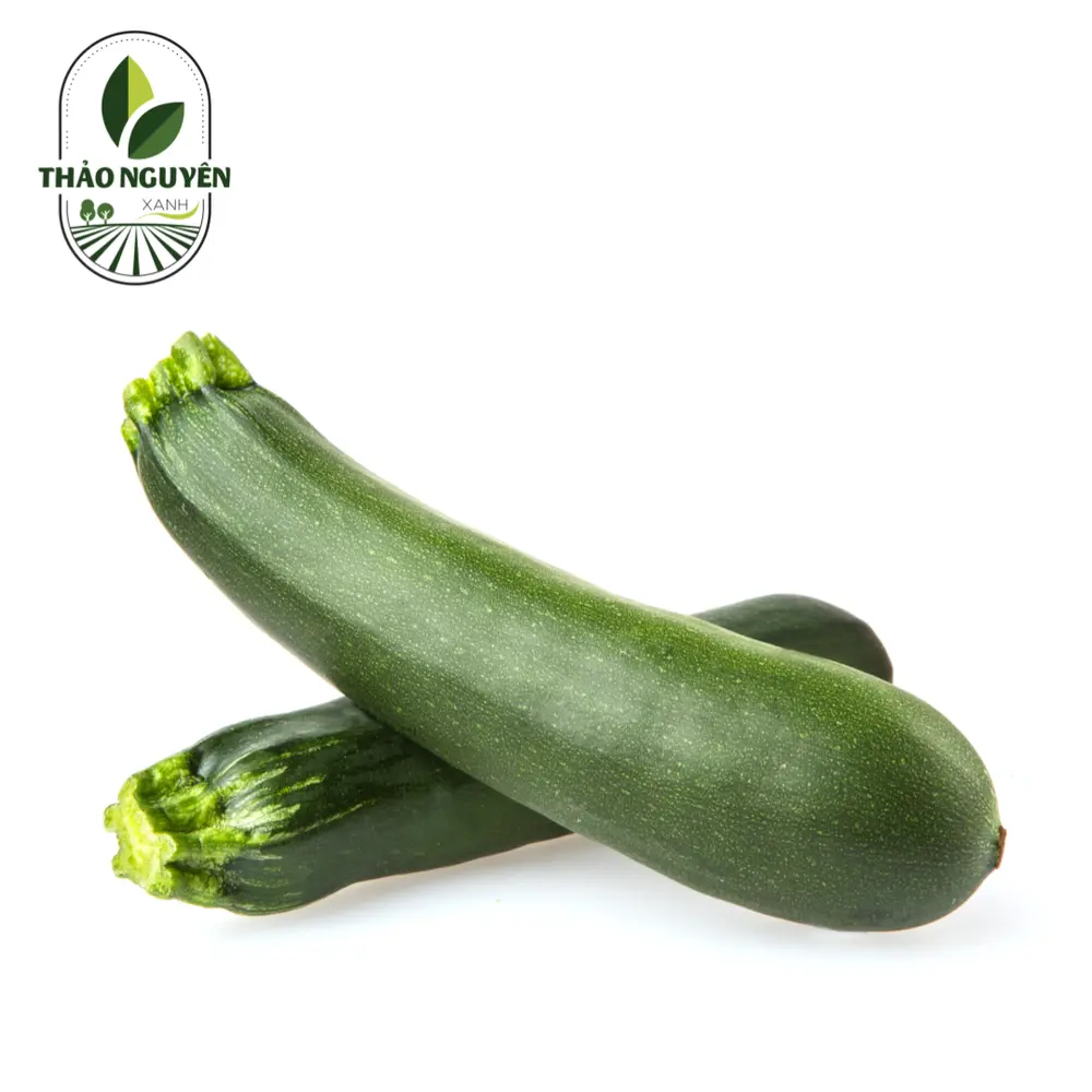 Bí Ngòi Xanh - Green Zucchini - THAO NGUYEN XANH