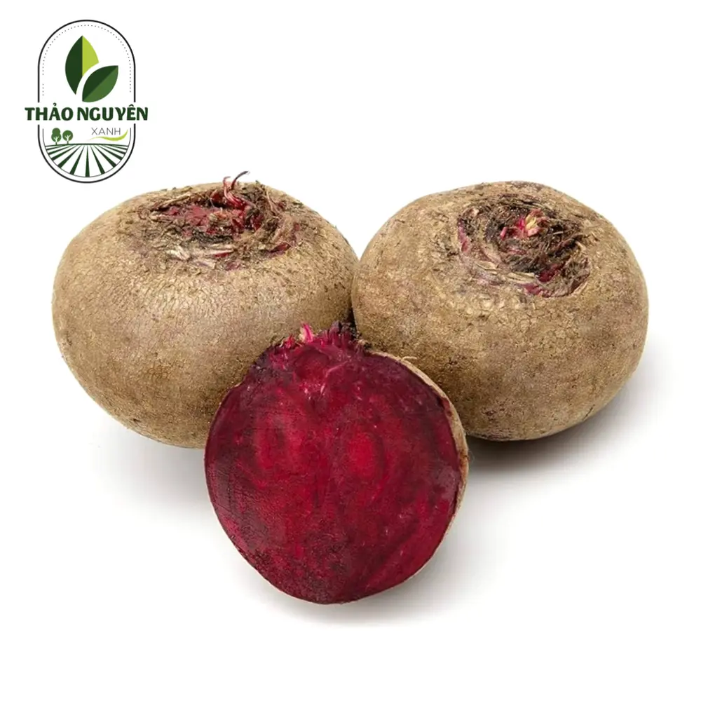 Củ Dền - Beetroot - THAO NGUYEN XANH