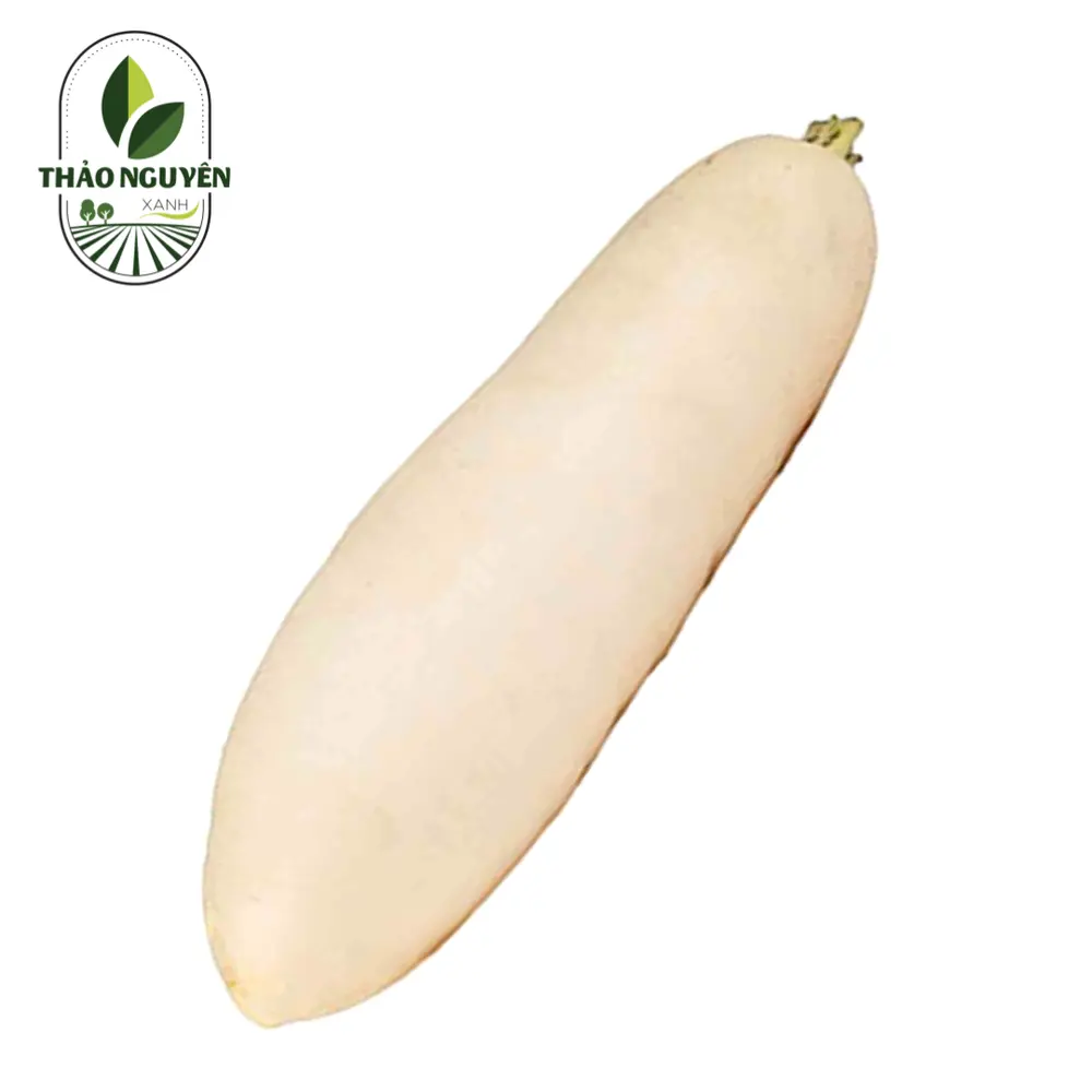 Củ Cải Trắng - White Icicle Radish - THAO NGUYEN XANH