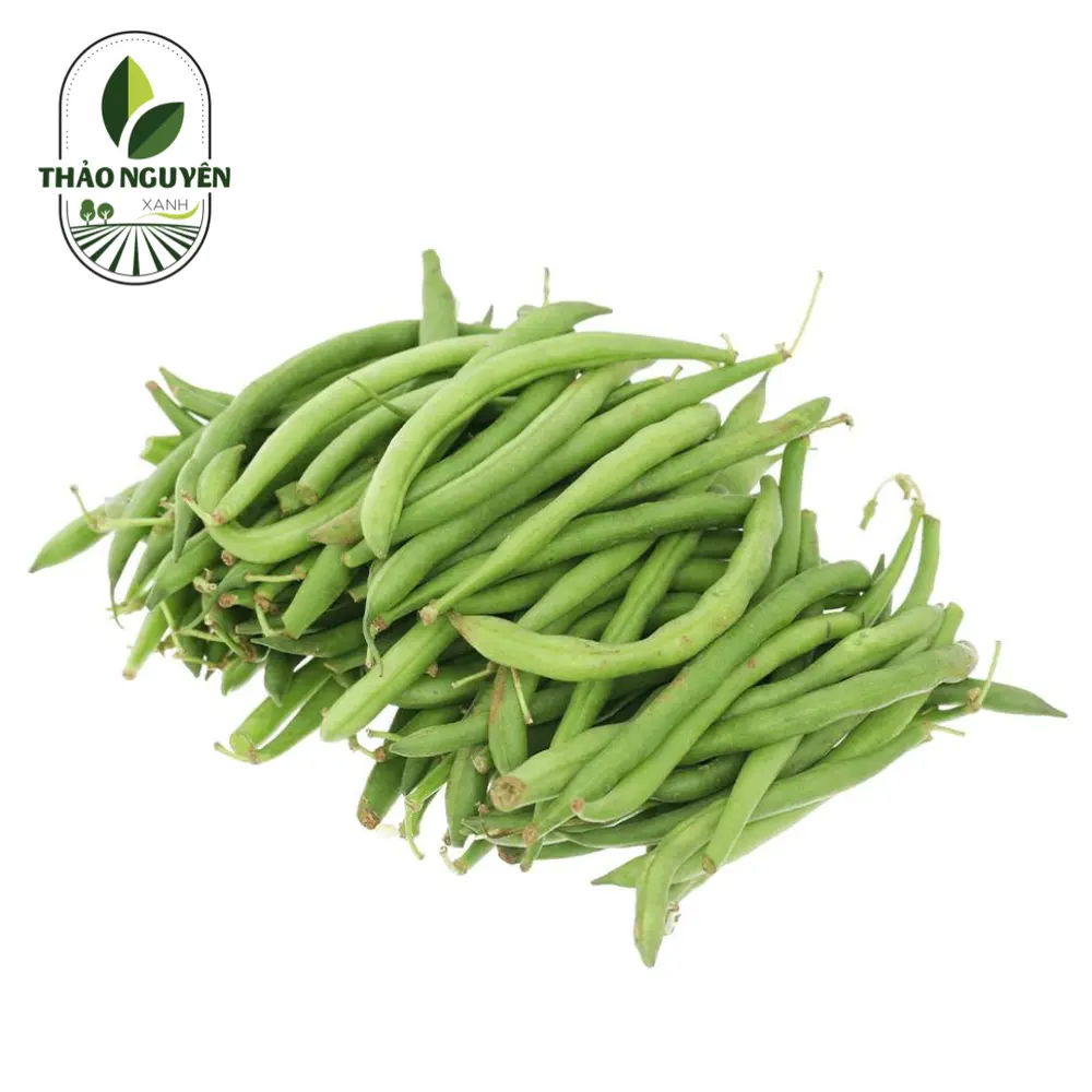 Đậu Cove Nhật - Japanese Green Bean - THAO NGUYEN XANH