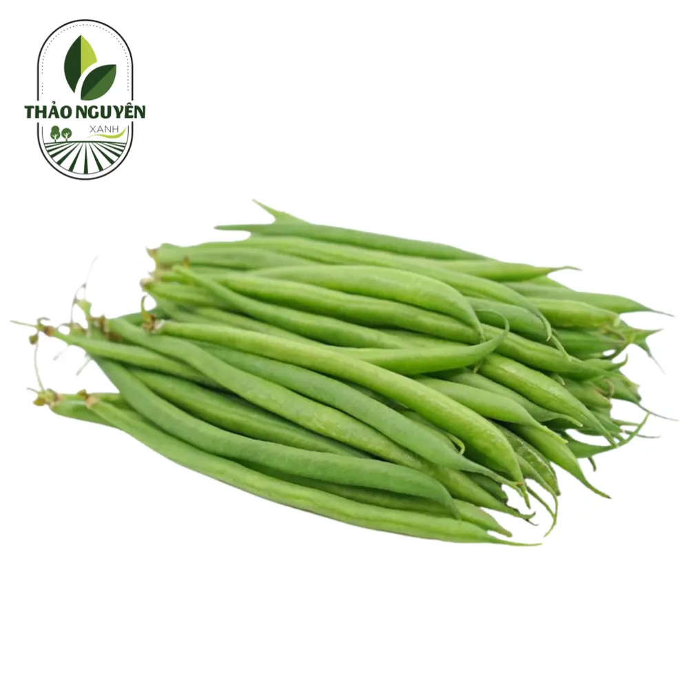Đậu Cove Trắng - White Green Bean - THAO NGUYEN XANH
