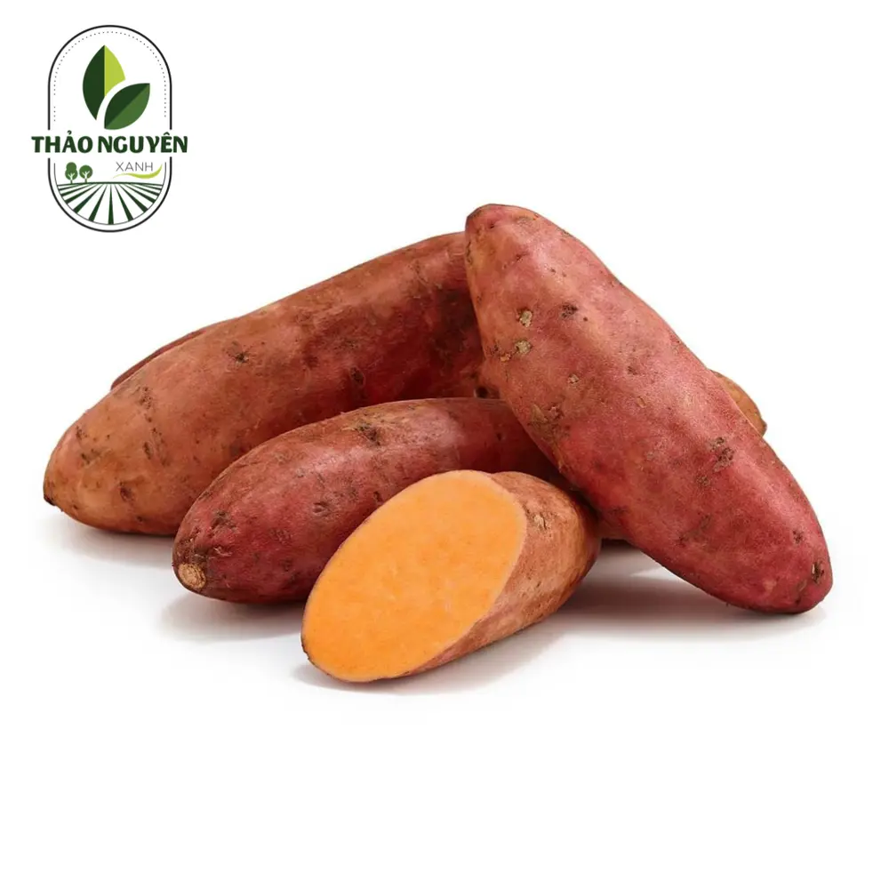 Khoai Lang Mật - Honey Sweet Potato - THAO NGUYEN XANH