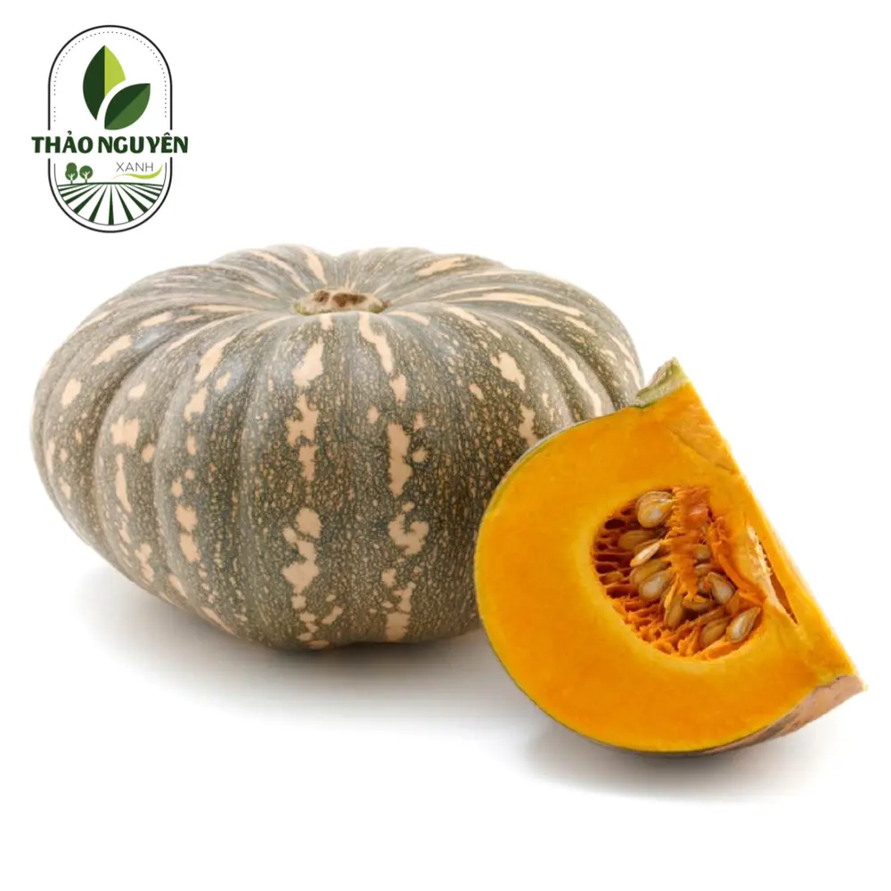 Bí Đỏ Tròn - Pumpkin - THAO NGUYEN XANH