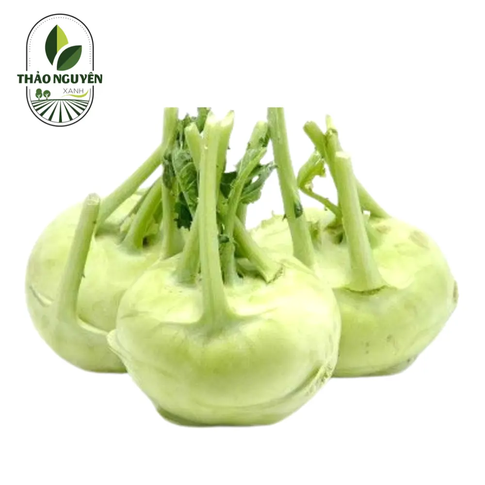 Su Hào - Kohlrabi - THAO NGUYEN XANH