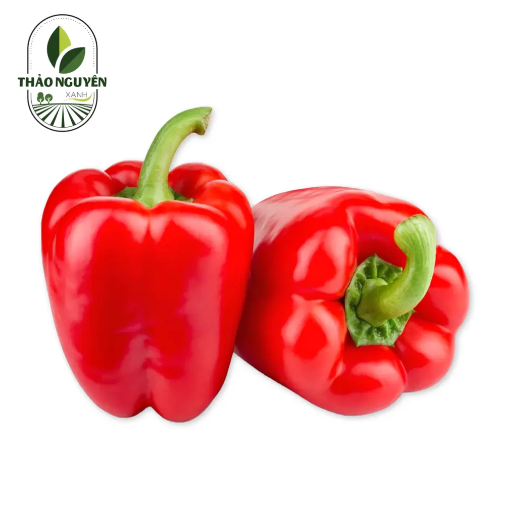 Ớt Chuông Đỏ - Red Bell Pepper - THAO NGUYEN XANH