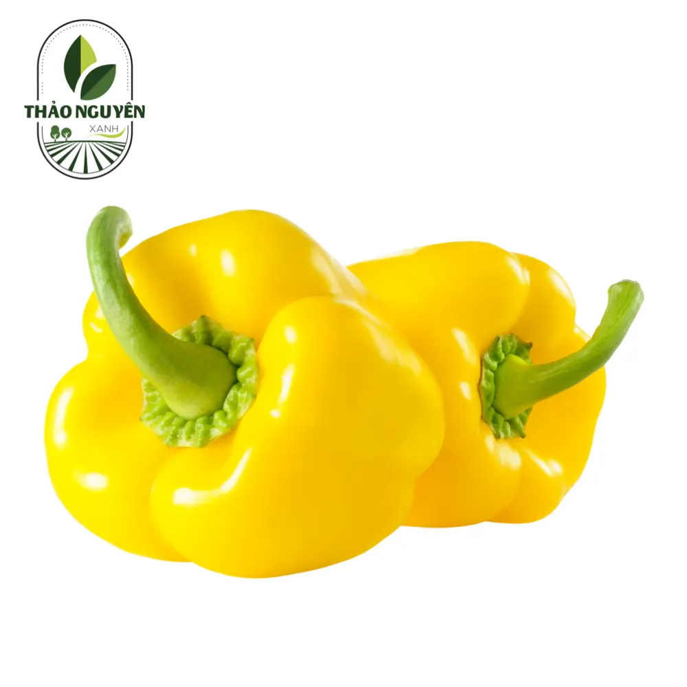 Ớt Chuông Vàng - Yellow Bell Pepper - THAO NGUYEN XANH