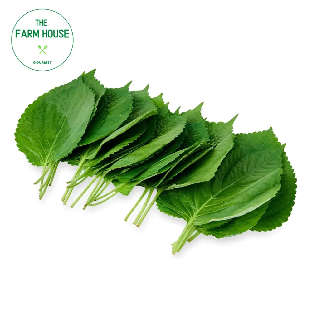 Lá Tía Tô Nhật - Japanese Shiso Leave (20g) - THE FARM HOUSE